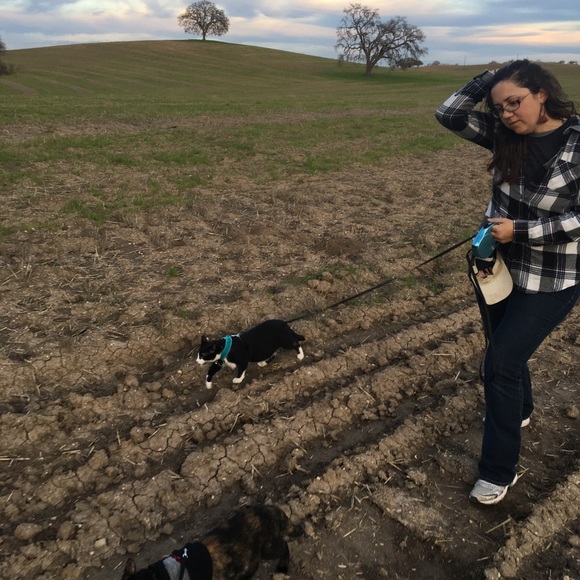 Meet your Poshers, Linda & Dan - Picture 6 of 9